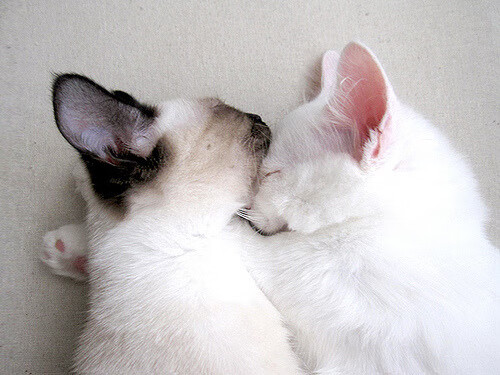 决胜时刻，从东决焦点战到乌拉圭带走挪威的启示