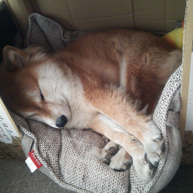 杜兰特孤星闪耀，一人之力扛起快船跨过天山铁壁