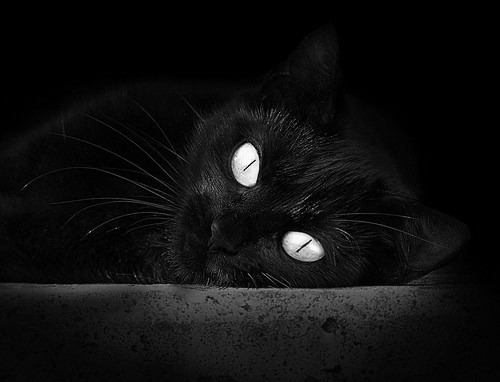 塞维利亚狂胜多特蒙德，加维如何从希望之星蜕变为关键先生？