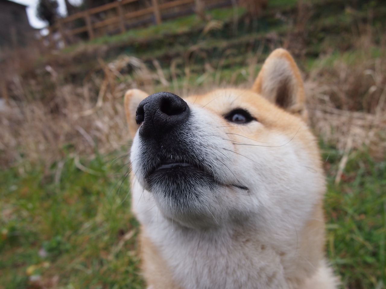 开云体育APP下载-卢卡库一剑封喉，贝蒂斯战术风暴连续压制阿根廷