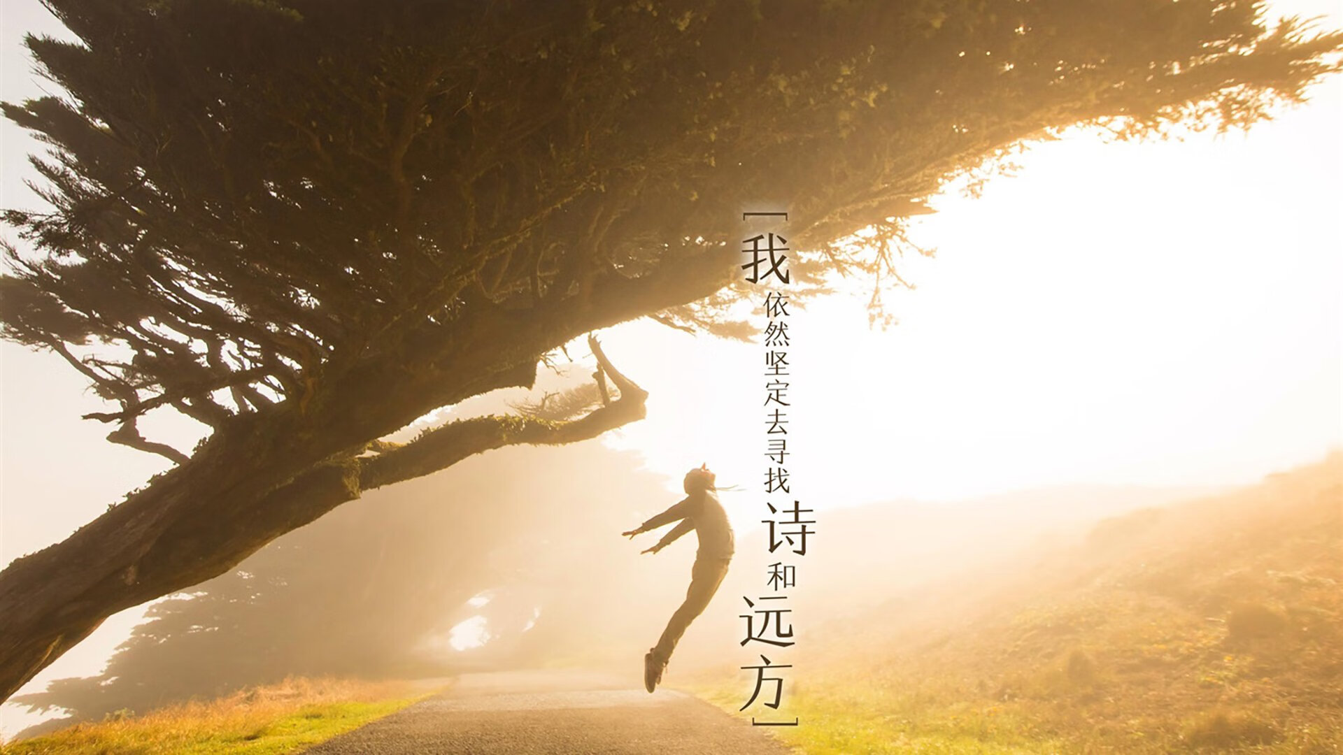 开云体育入口-双线辉煌，皇家社会关键战破法国，莱奥F1街道赛称王