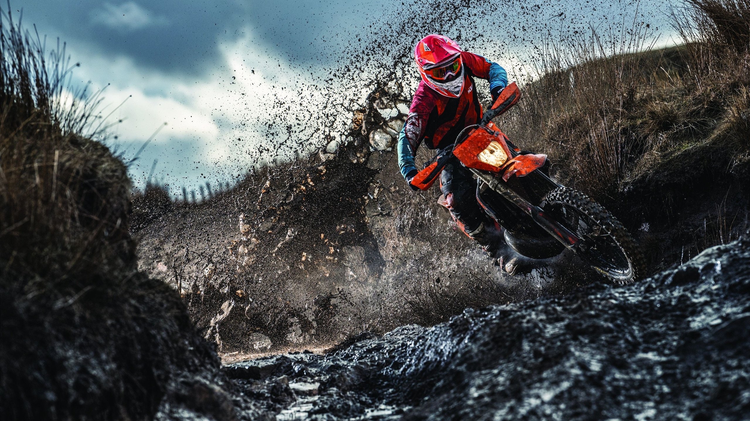 从孙兴慜的统治力到红鸟的速度哲学，足球世界的两极寓言