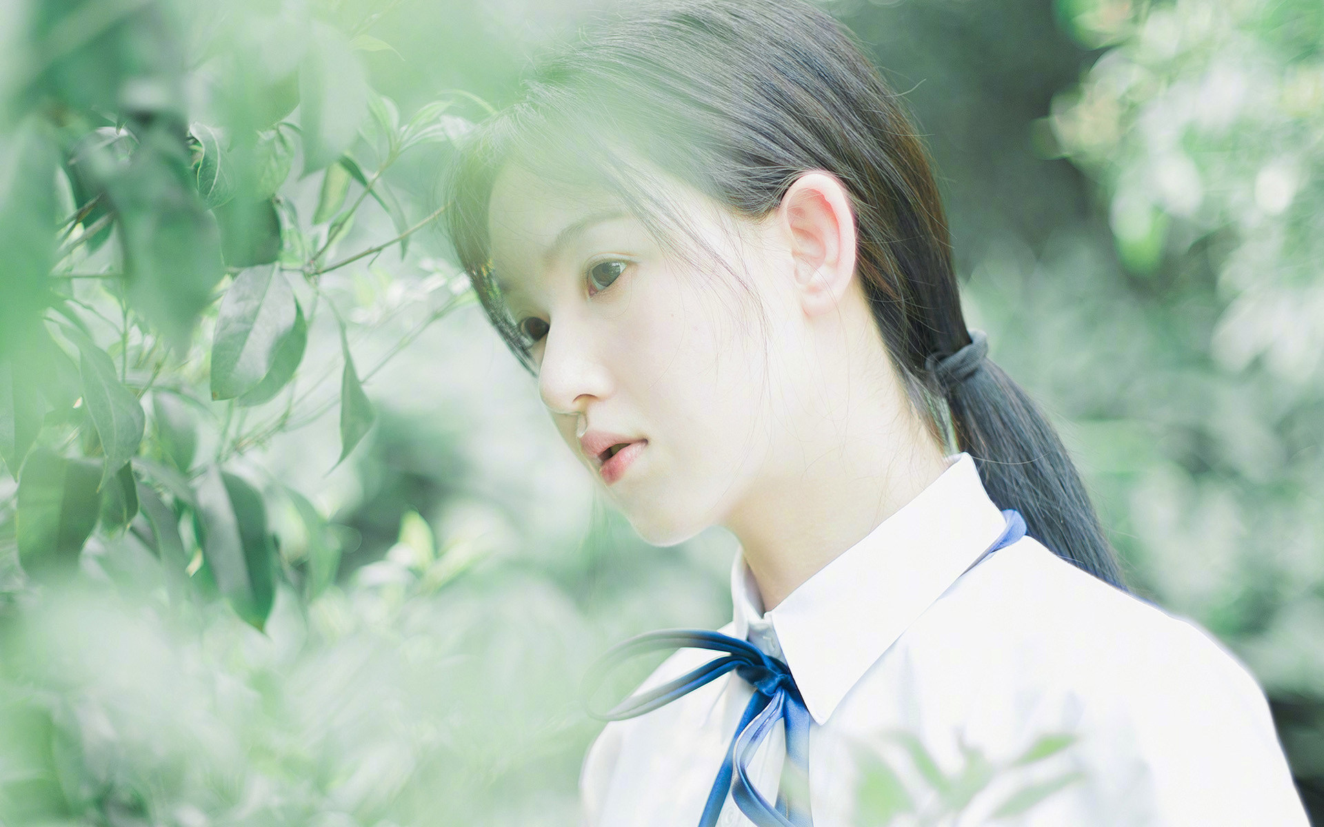 绝境烽火,弗拉霍维奇生死夜缔造传奇