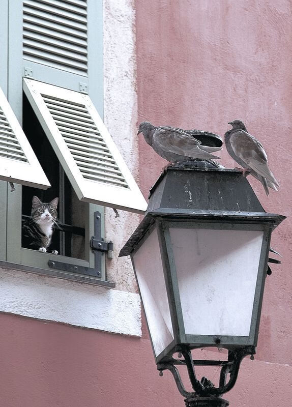 久保建英一人击溃瑞士钢铁防线,伊拉克爆冷取胜震撼足坛