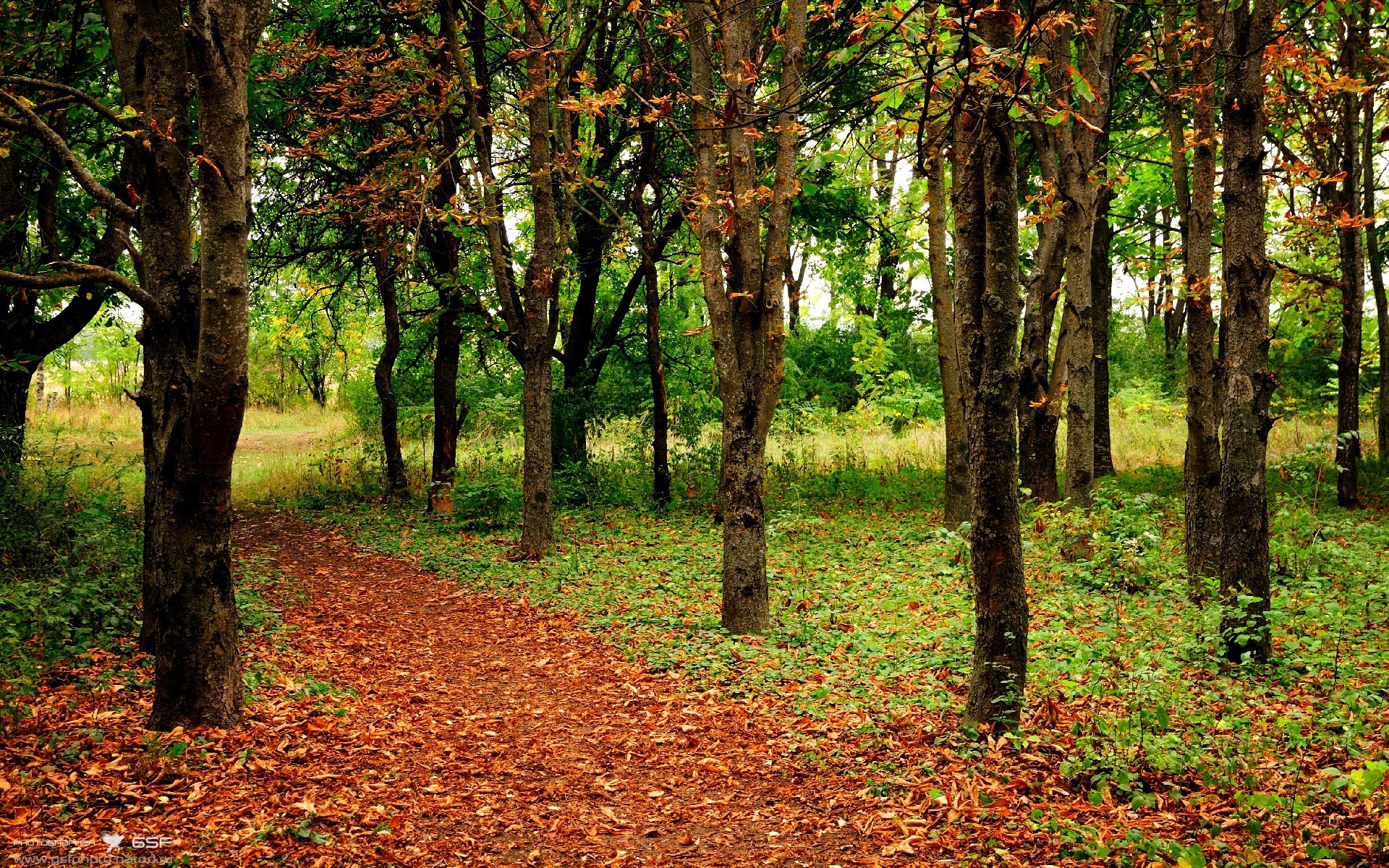 团队利刃与孤胆锋芒，皇家社会体系压制 vs 拉什福德冠军级爆发