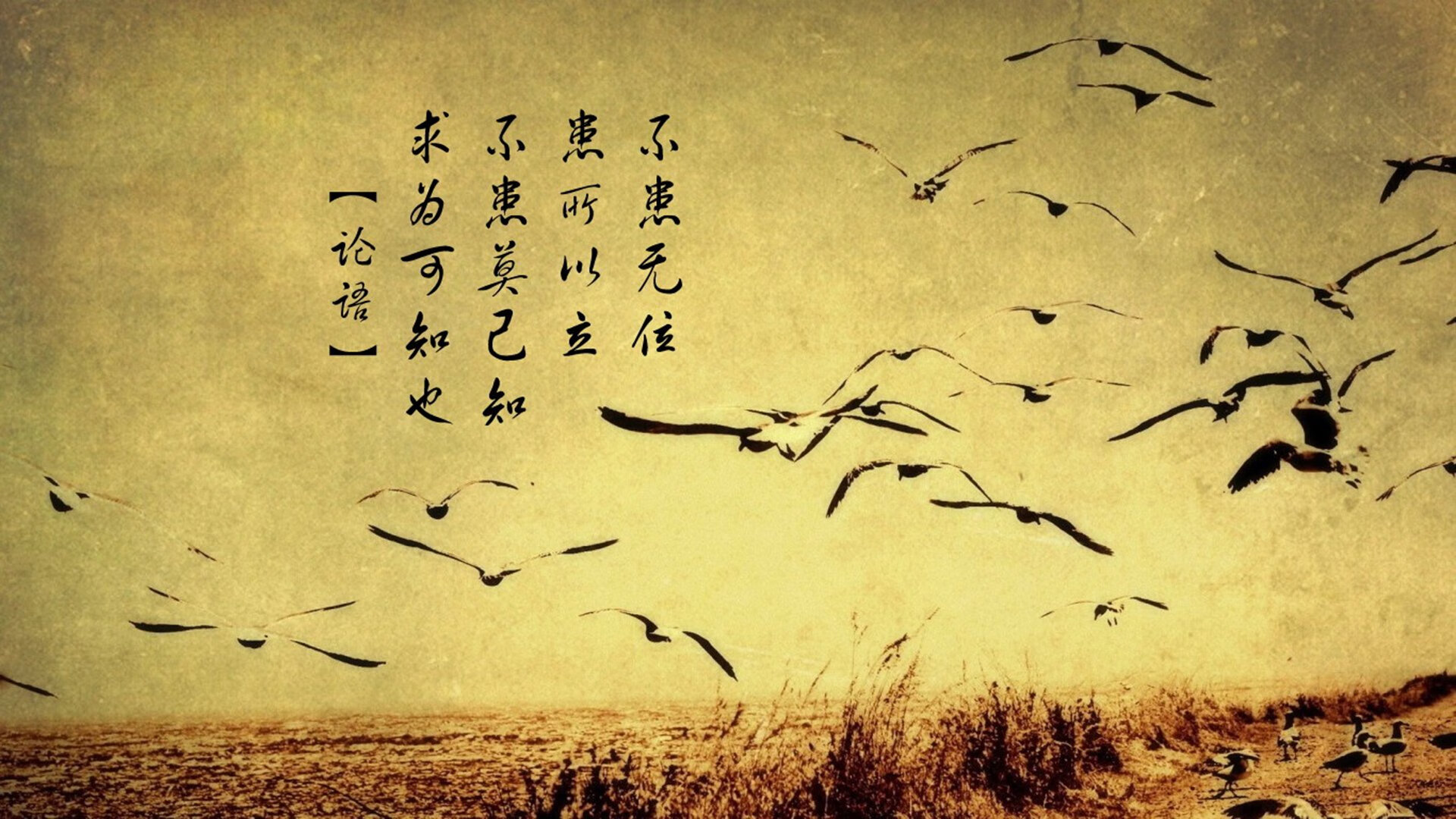 阿尔卑斯之魂与北欧风暴的碰撞，2026世界杯A组，瑞士完胜挪威，坎塞洛化身边路上帝