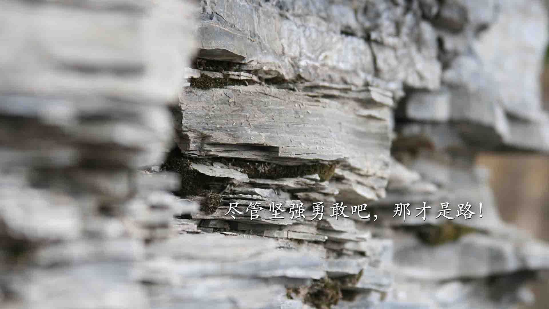 开云体育平台APP-极光之巅，2026世界杯巅峰对决，挪威险胜瑞典，迪亚斯主宰北欧德比